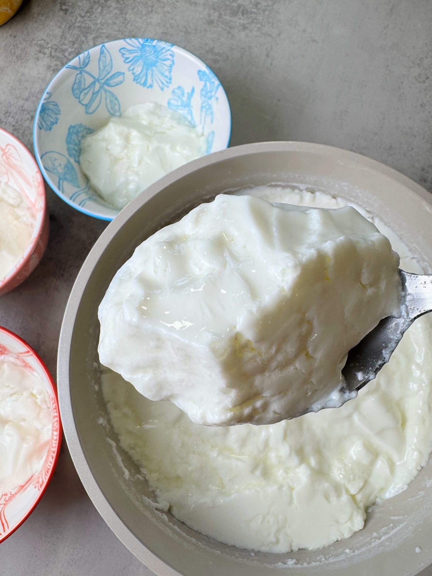 Homemade Yogurt